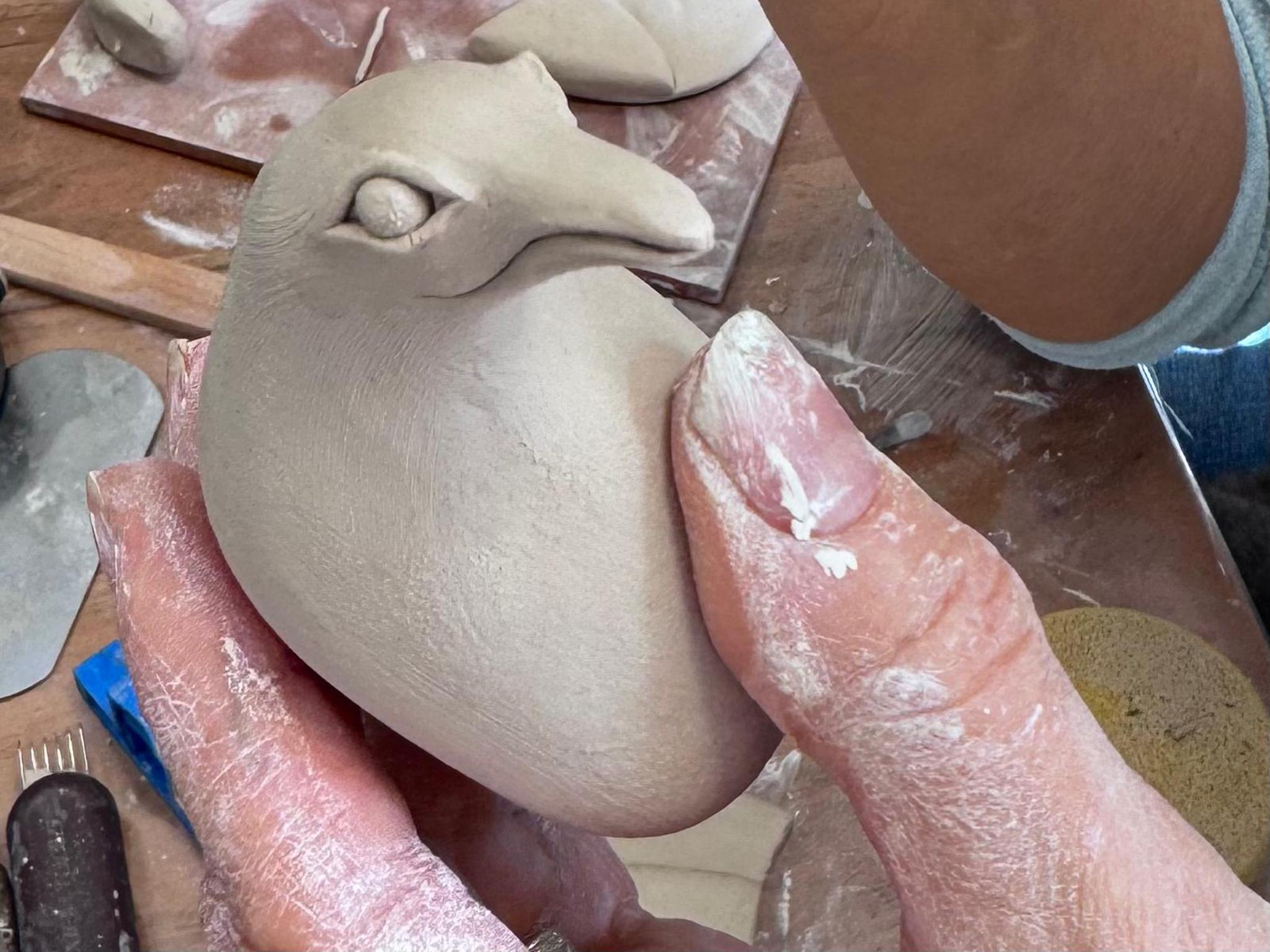 Bird