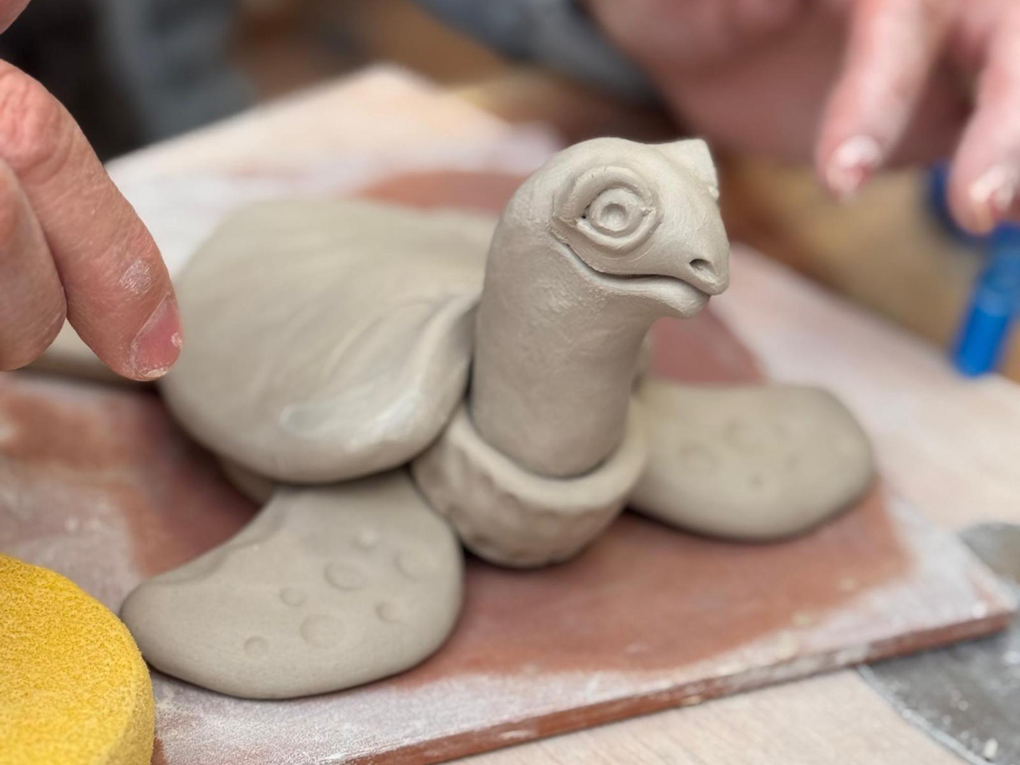turtle