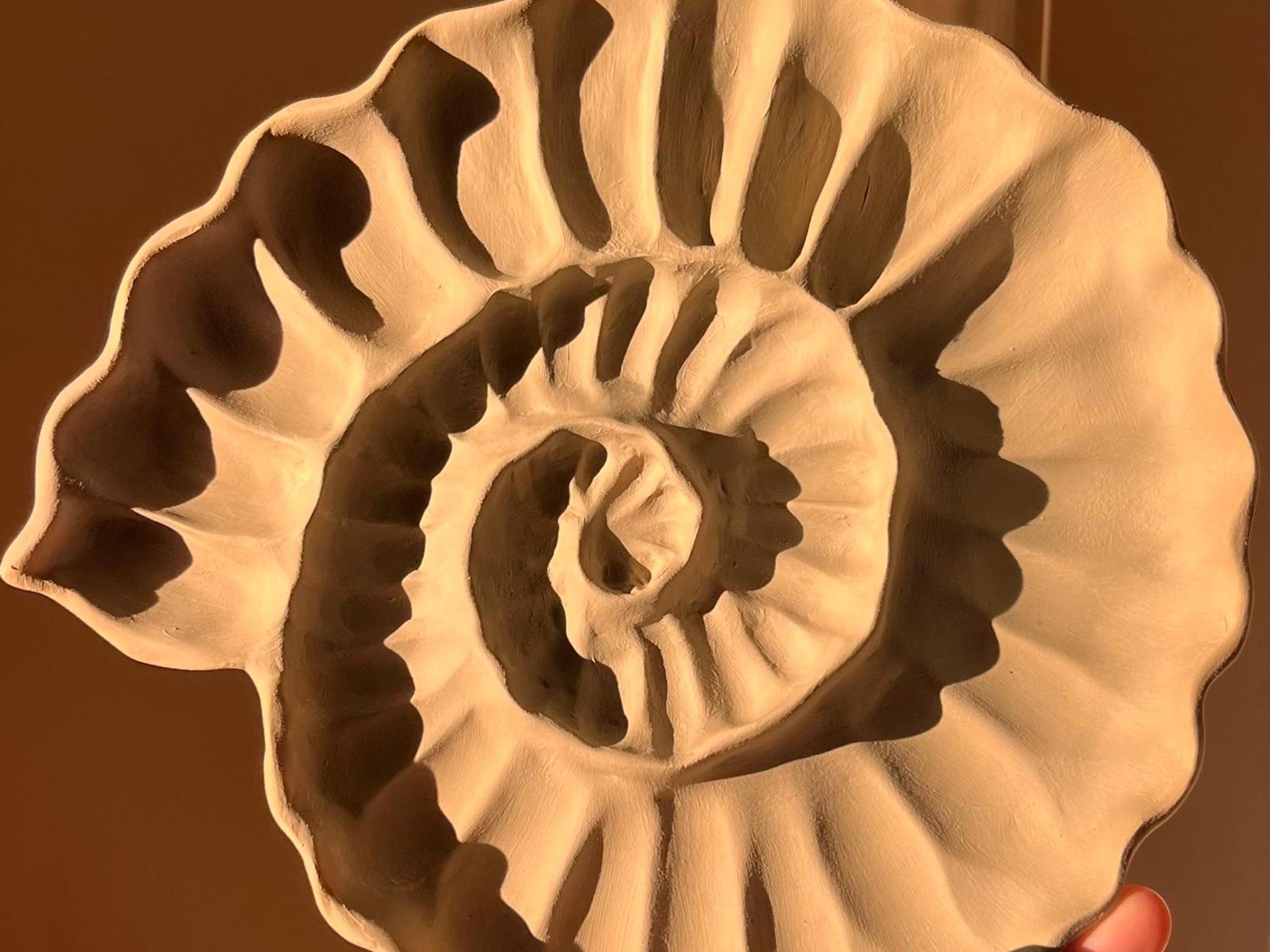 shell1